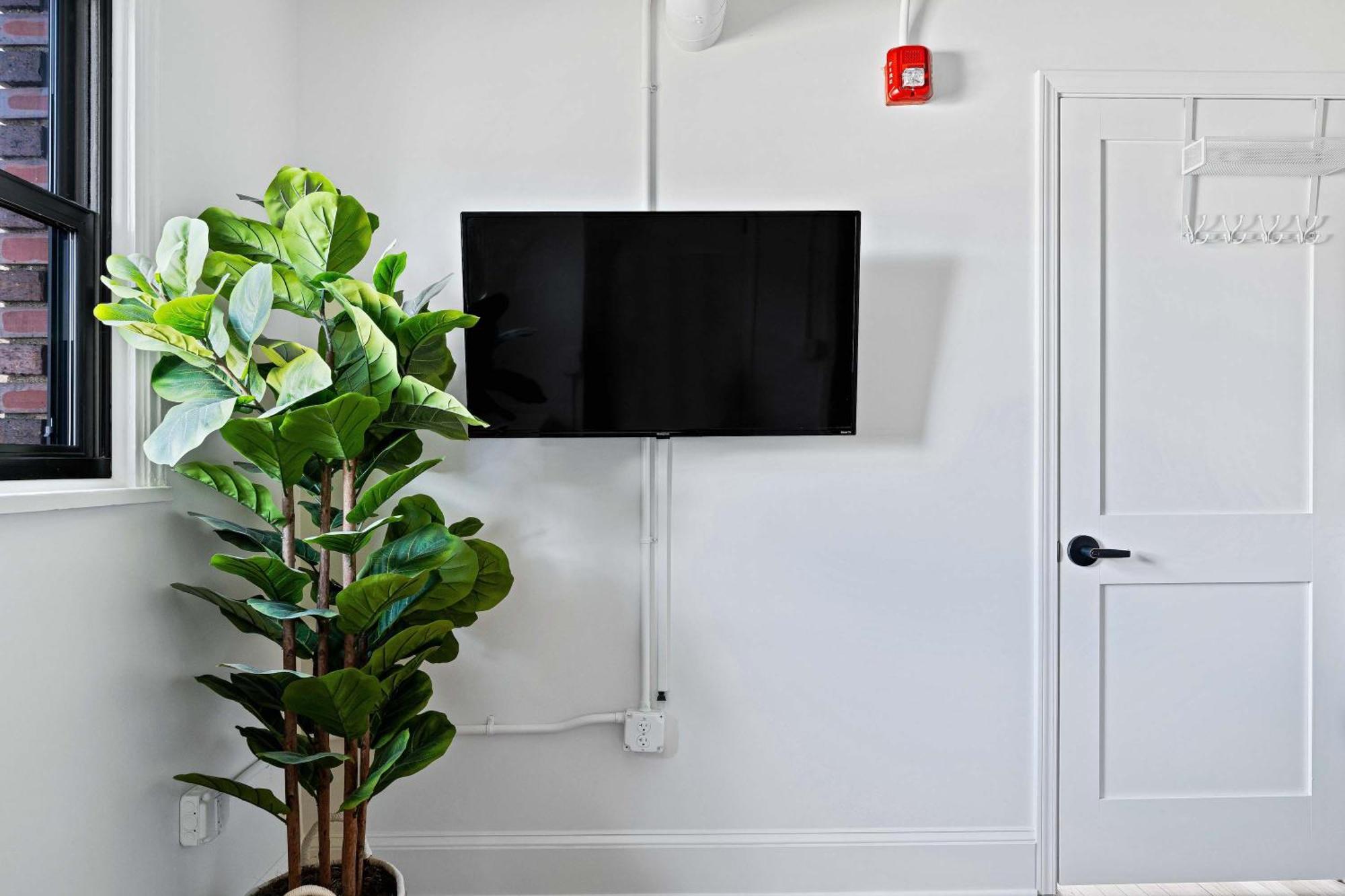 Kasa Downtown Asheville Ngoại thất bức ảnh